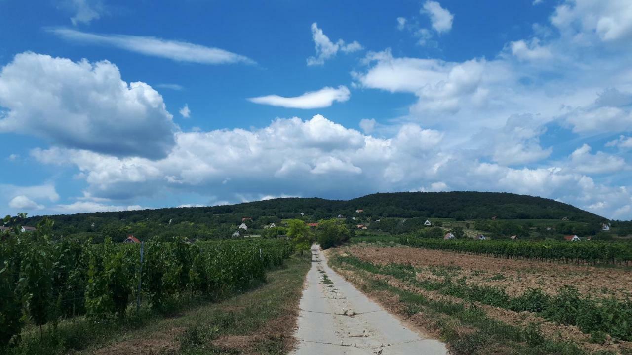 Káli 120 Vila Tagyon Exterior foto